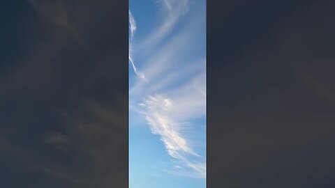 What Do You See?
