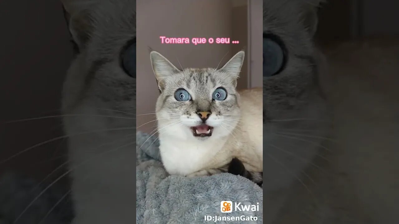 vídeos shorts do kawai #shorts