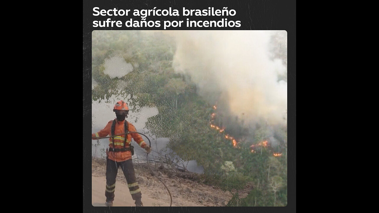 Sector agrícola de Brasil es afectado por los incendios en el país