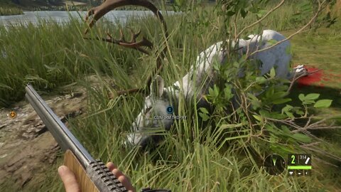 Hunting A Majestic Albino Caribou Hunter Call Of The Wild