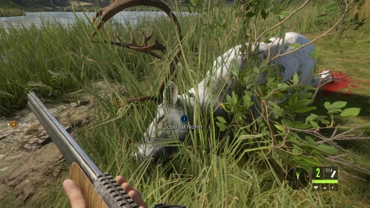 Hunting A Majestic Albino Caribou Hunter Call Of The Wild