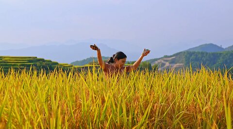 The Hardworking Girl and the Harvest Season