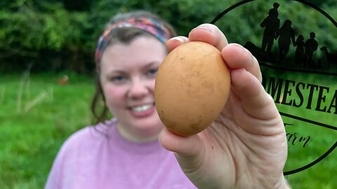 Why We Preserve Eggs in a Tortilla Shell