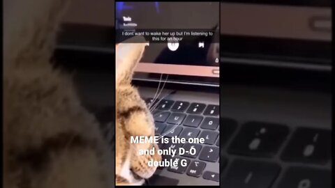 MEME is the one and only D-O double G #shorts #trending