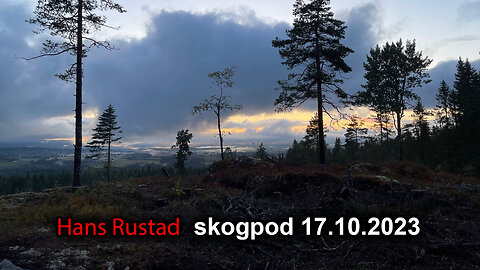 Skogpod 17. oktober 2023