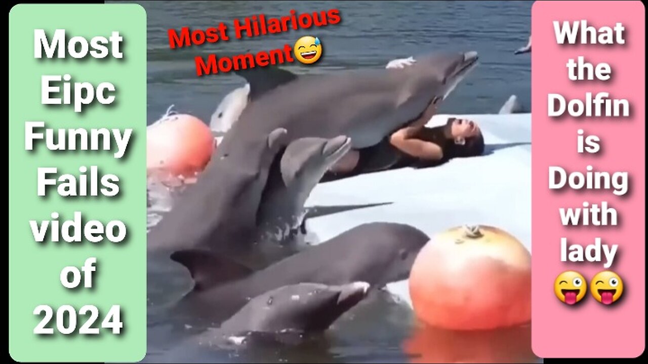 Most Hilarious Moments Part-2 AnimalFails, FunnyFails, EpicFails, FunnyVideo