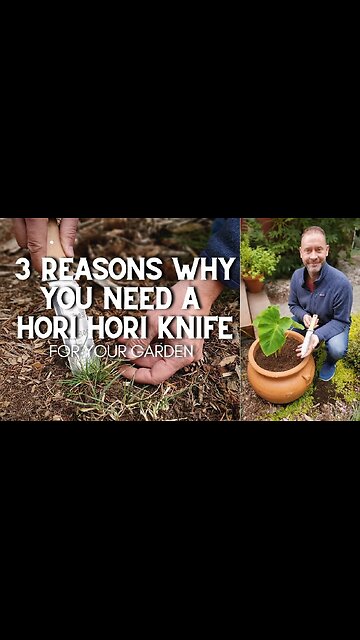 3 Reasons Why You Need a Hori Hori Garden Knife #shorts 🌿