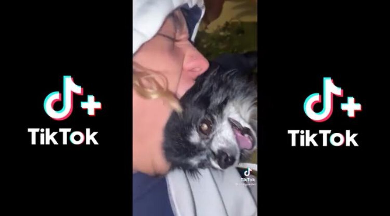 Animal TikTok Compilation- Corona Edition!!