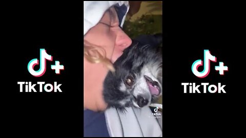 Animal TikTok Compilation- Corona Edition!!