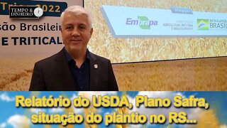 Relatório do USDA, Plano Safra, situação do plantio no RS...