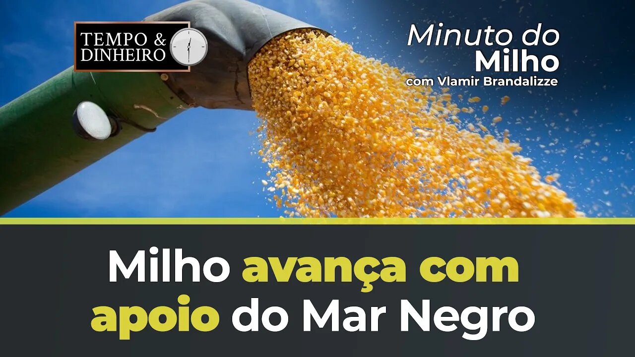 Milho avança com apoio do Mar Negro