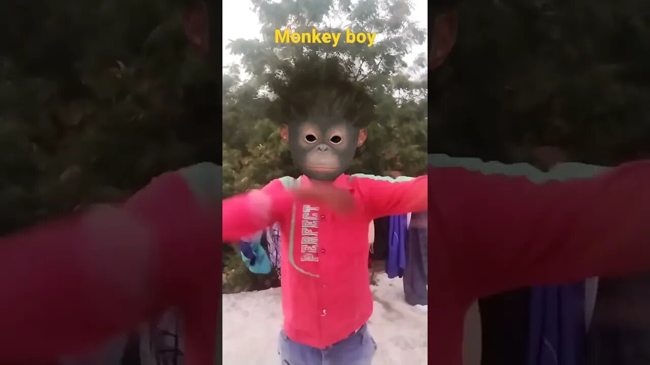 monkey boy #shorts #monkeyboy #monkey #funny #funnyvideo