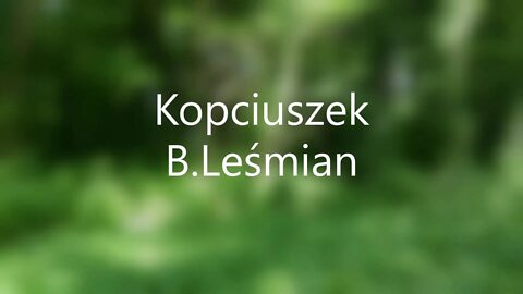 Kopciuszek -B.Leśmian