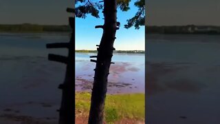 Lookout over a beach