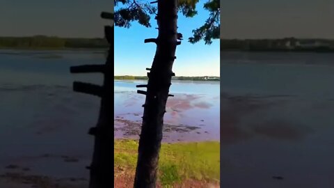 Lookout over a beach