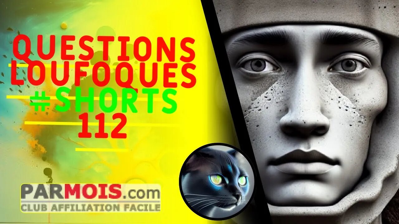 Questions Loufoques #shorts 112