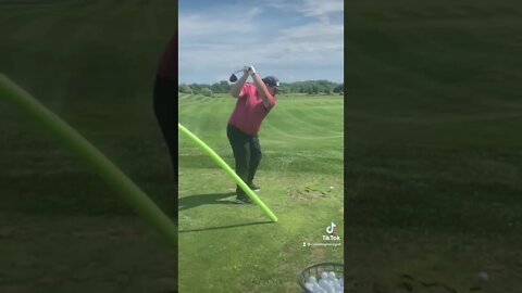 #boom #shitzu #shorts #fun #youtubeshorts #fyp #golf