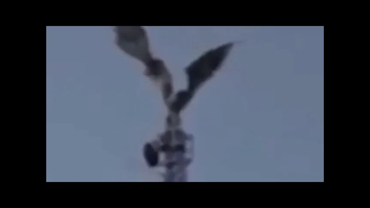 دراکو رپتایل