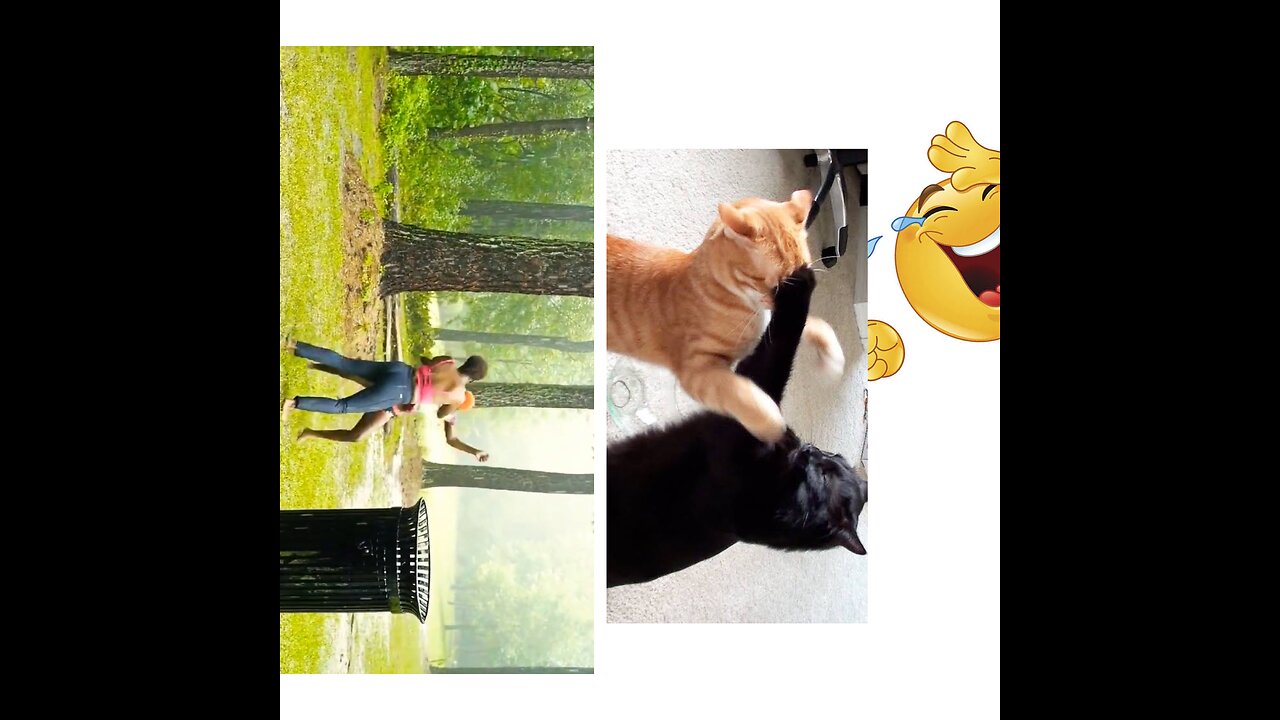 Cats & cutes both are same😸😻 Funny animals new video