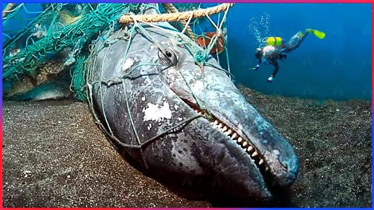 One In a Billion Moments Captured on Camera #11 | Daily Dose Tv