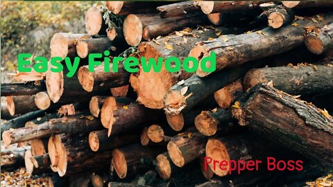 Firewood Right From My Backyard #001