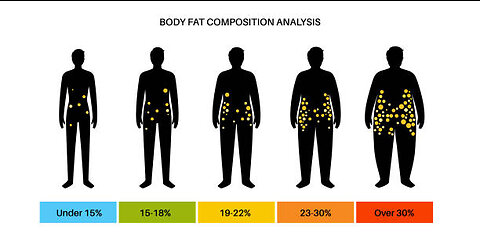 Effortless Fat Loss: The Ultimate Guide to Shedding Body Fat Without Counting Calories