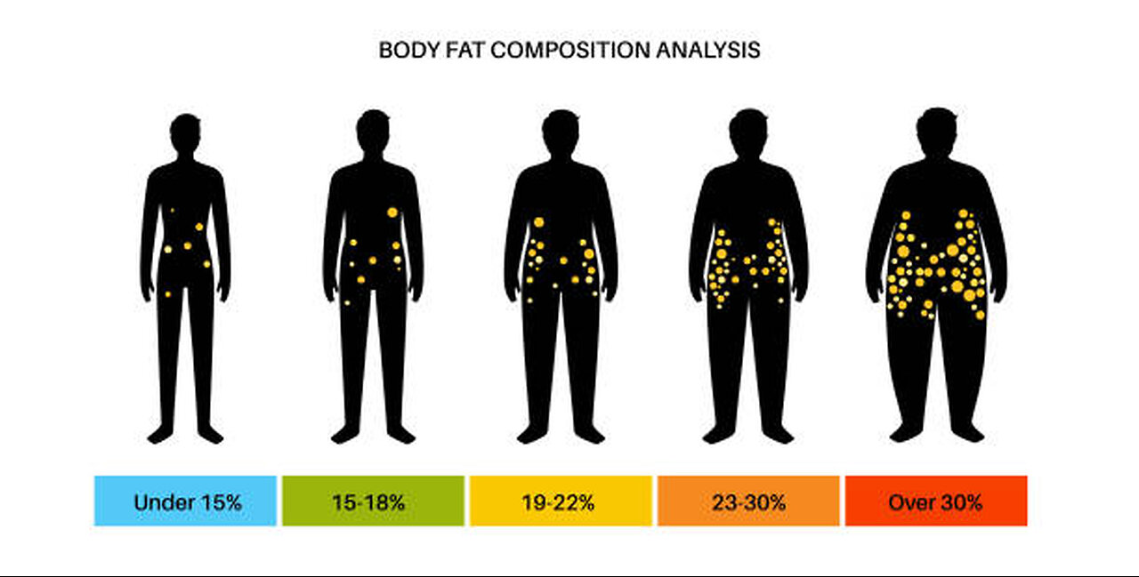 Effortless Fat Loss: The Ultimate Guide to Shedding Body Fat Without Counting Calories