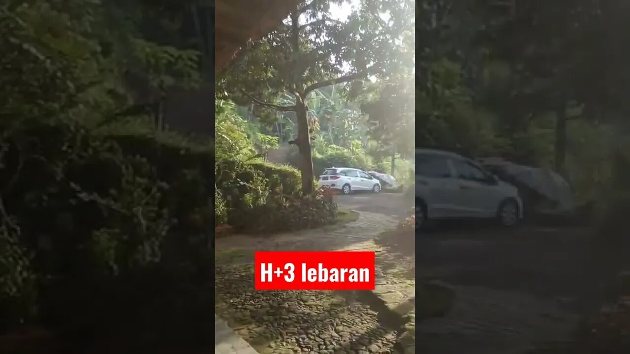 H+3 Lebaran | Suasana pagi di kampung