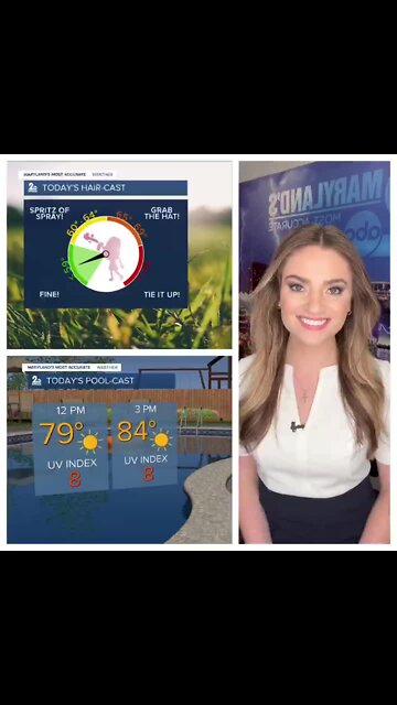 Stevie's Scoop: Sunny & Comfy