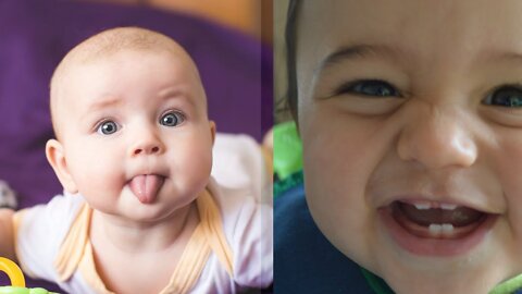 Funniest Home Videos by Babies amazing Reactions