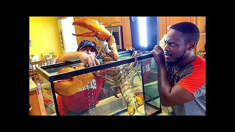 BUYING LIVE PET 15lb LOBSTER ONLINE! *MASSIVE*