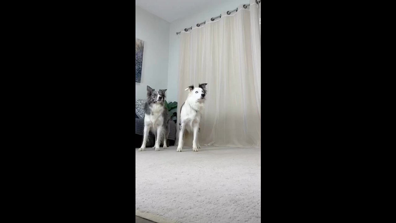 🤣