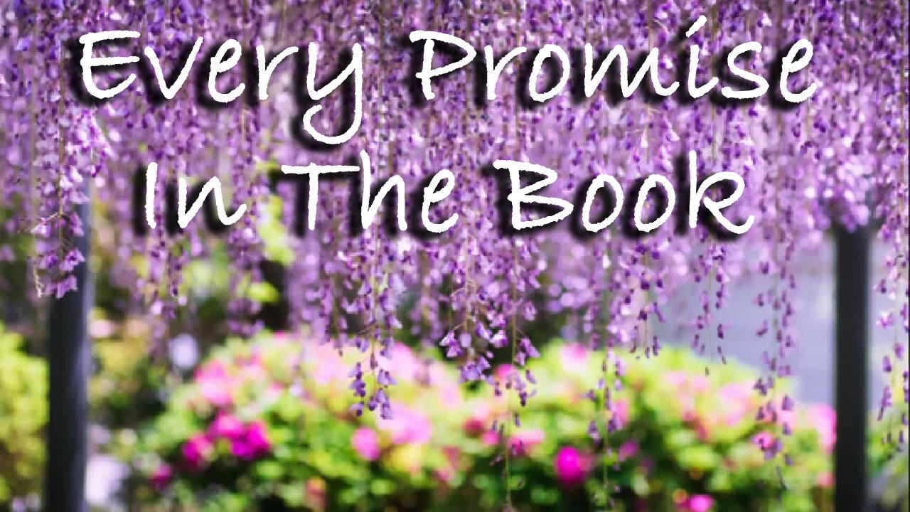 Every Promise In The Book -- Instrumental Worship Chorus