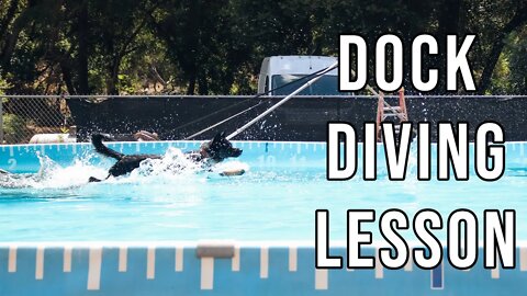 Dock Diving - Agape Ranch Dog Sports - 3/8/20