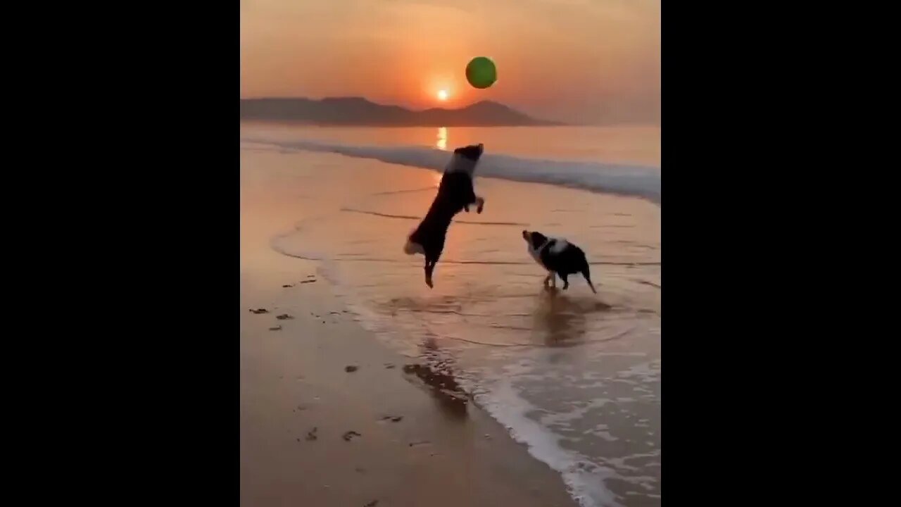 Having Fun Together