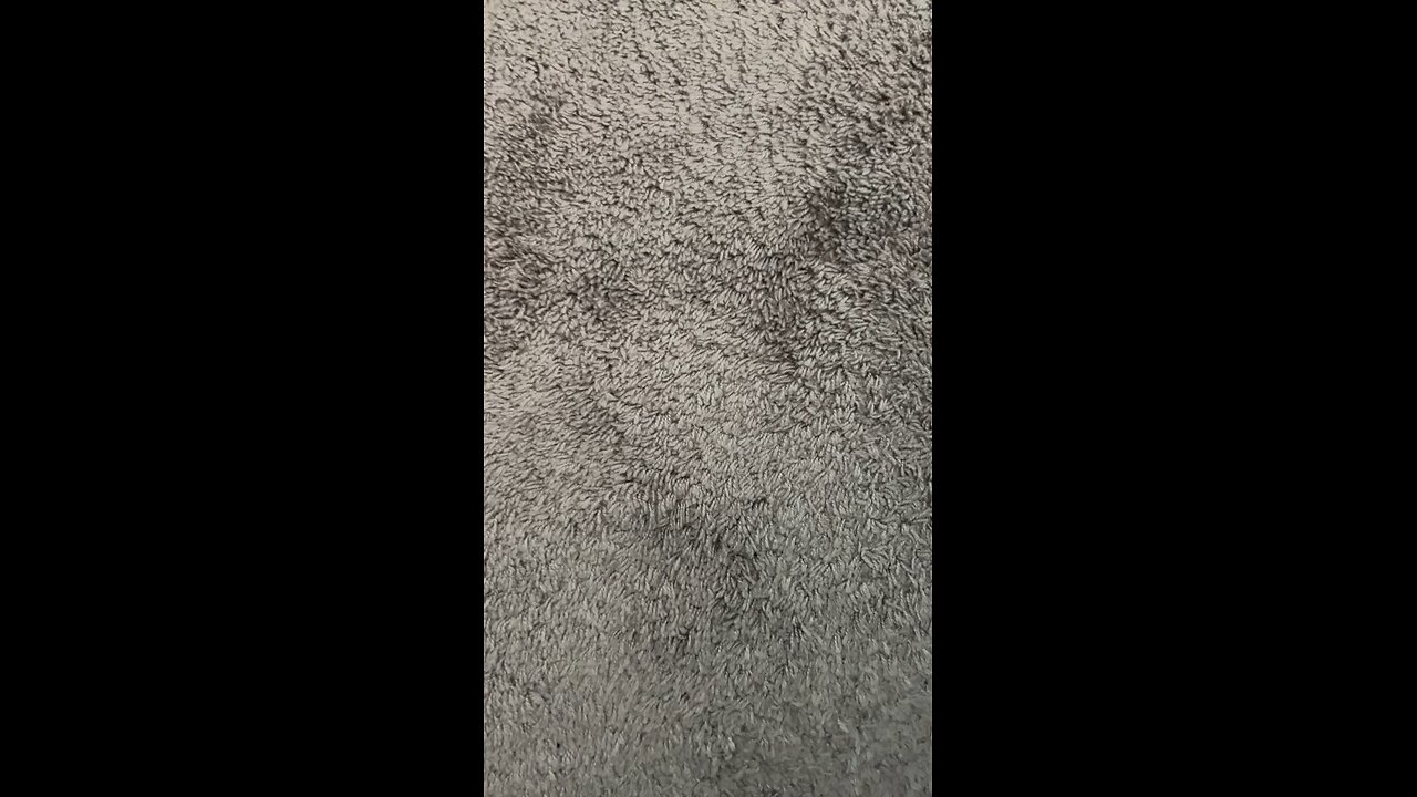 G1