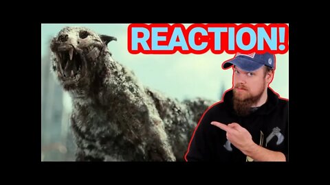 Zack Snyder's Army Of The Dead Trailer Reaction!