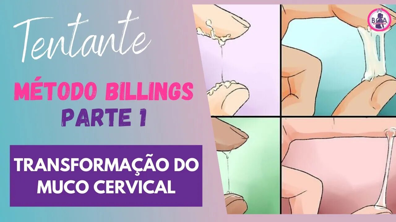 TRANSFORMAÇÃO DO MUCO CERVICAL - Método Billings Parte 1