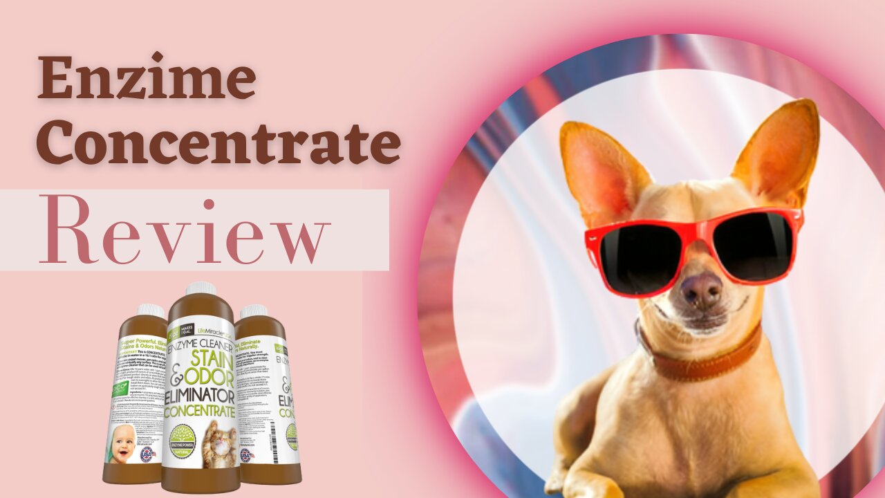 Enzime Concentrate Review! Here's how to eliminate odors and remove stains caused by your pet.