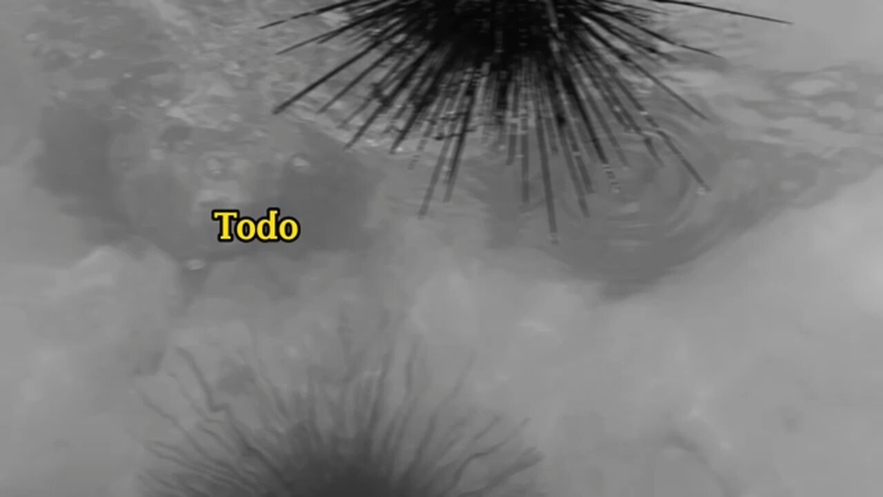 Qual seu propósito de vida? Você sabe a sua função existencial?