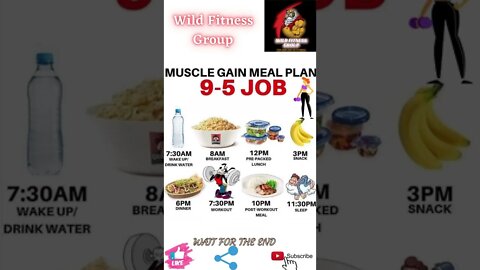 🔥Muscle gain meal plan with 9-5 job🔥#shorts🔥#wildfitnessgroup🔥4 May 2022🔥