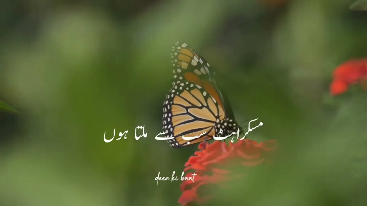 New heart touching Status | New Naat Sharif Status | Islamic WhatsApp status | Urdu ramdan naat