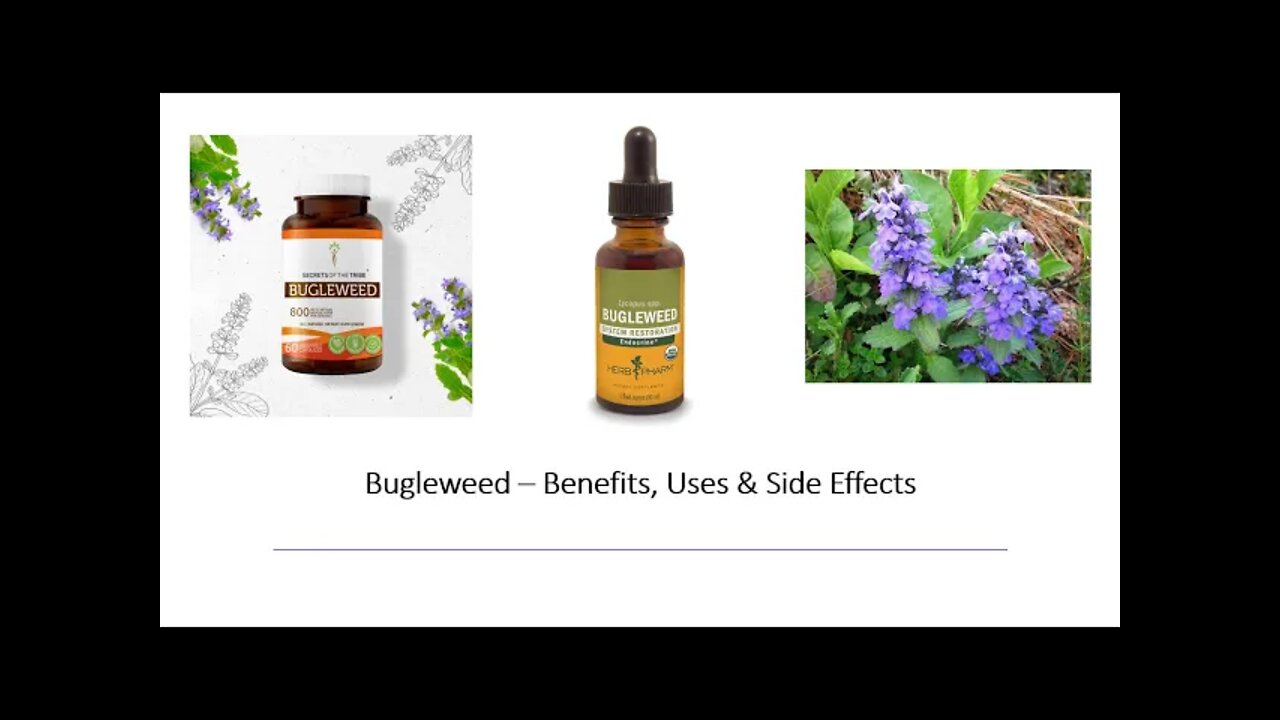 Bugleweed - Benefits, Uses & Side Effects