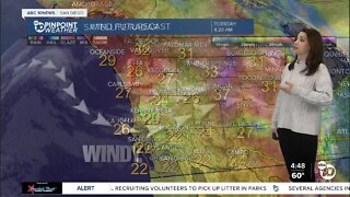 ABC 10News Pinpoint Weather with Meteorologist Megan Parry