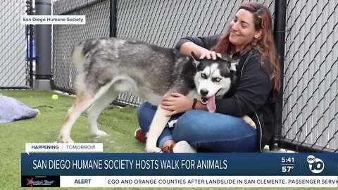 Walk for Animals Preview