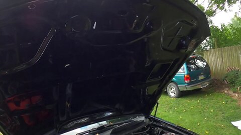 2005-2010 hydro-Carbonfiber Hood life gate mod