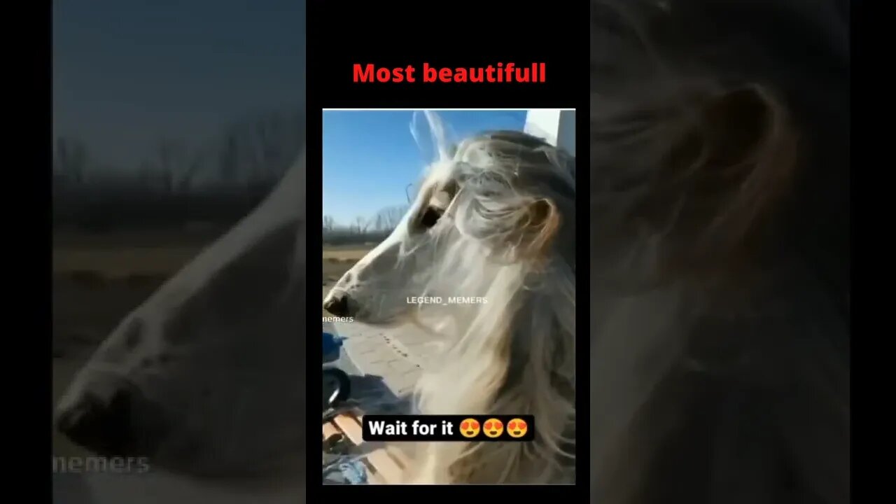 She is so beautifully 🤣🤣🤣