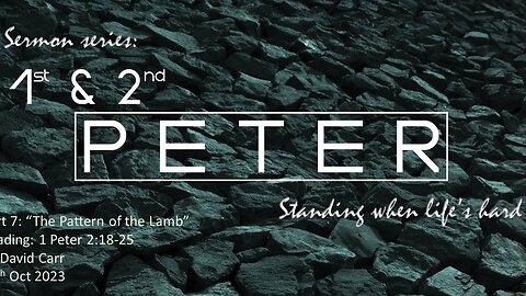 The Pattern of the Lamb