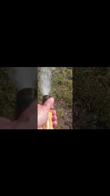 When The Dog Mistakes Your Finger For The Hose 😆 #shorts