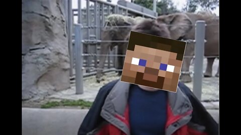 Me at the Zoo But it's Minecraft...